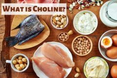 Choline for the liver, brain and foetal development